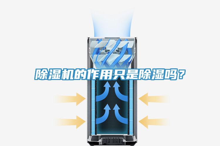 除濕機的作用只是除濕嗎？