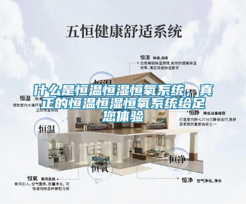 什么是恒溫恒濕恒氧系統，真正的恒溫恒濕恒氧系統給足您體驗