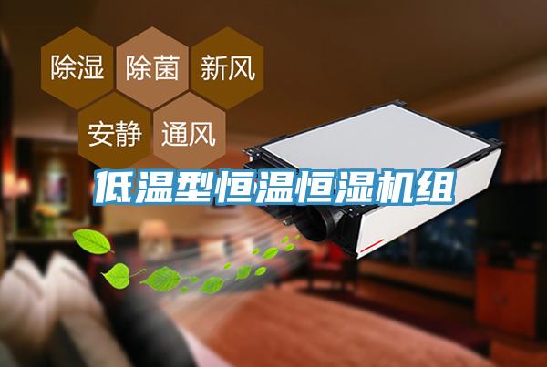 低溫型恒溫恒濕機組