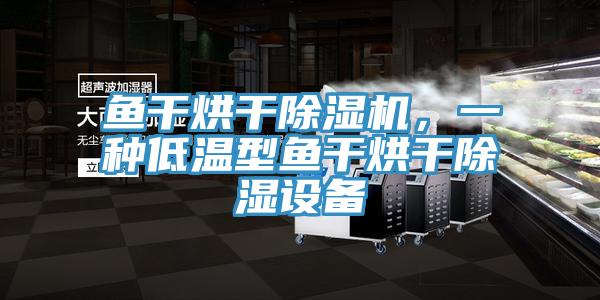 魚干烘干除濕機，一種低溫型魚干烘干除濕設備