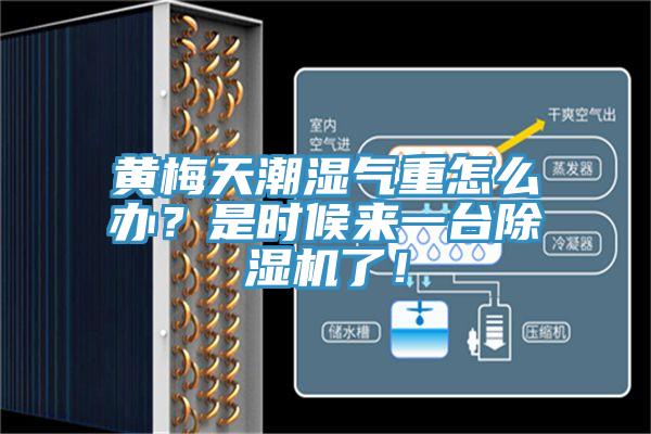 黃梅天潮濕氣重怎么辦？是時候來一臺除濕機了！
