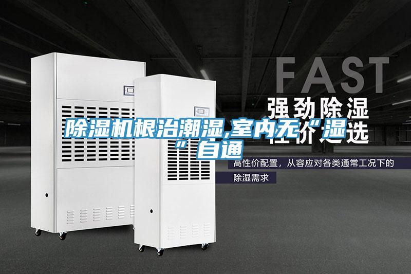 除濕機根治潮濕,室內無“濕”自通