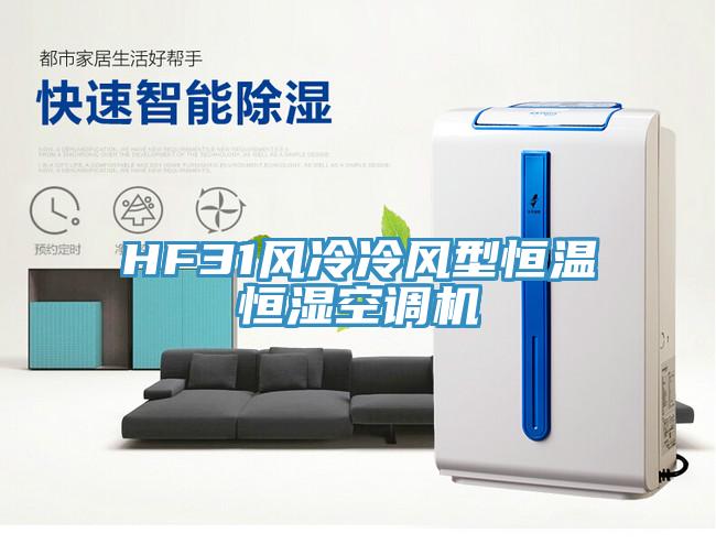 HF31風冷冷風型恒溫恒濕空調機
