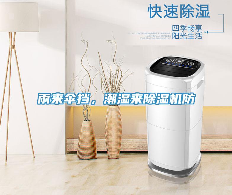 雨來傘擋，潮濕來除濕機防