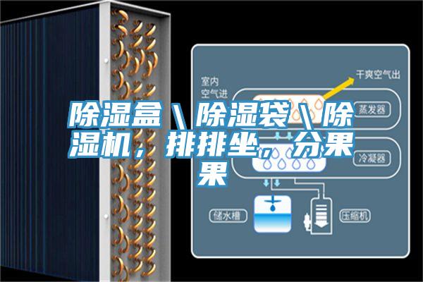 除濕盒＼除濕袋＼除濕機，排排坐，分果果