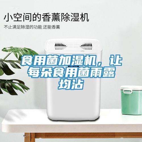 食用菌加濕機，讓每朵食用菌雨露均沾