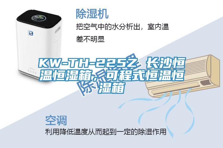 KW-TH-225Z 長沙恒溫恒濕箱，可程式恒溫恒濕箱