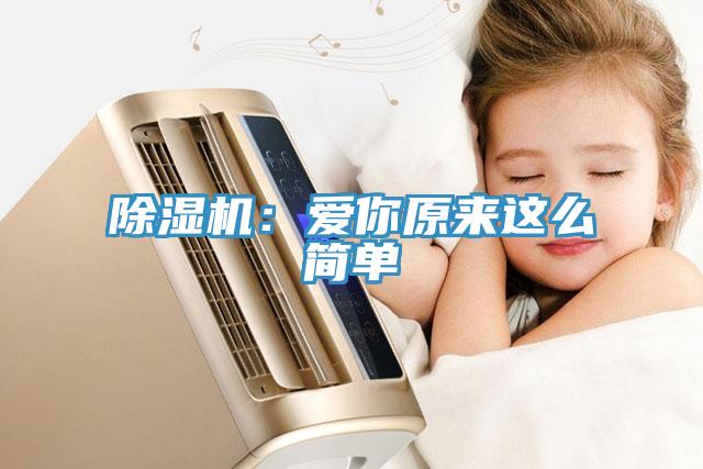 除濕機：愛你原來這么簡單
