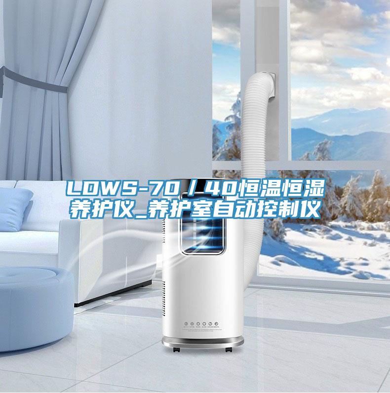 LDWS-70／40恒溫恒濕養護儀_養護室自動控制儀
