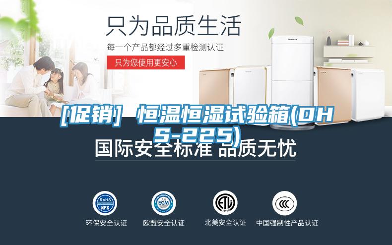 [促銷] 恒溫恒濕試驗箱(DHS-225)