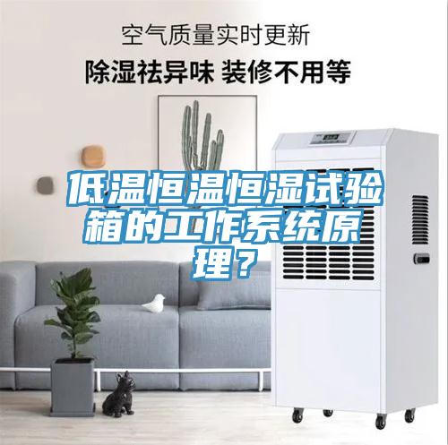 低溫恒溫恒濕試驗箱的工作系統原理？