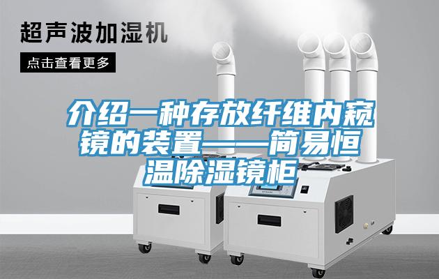 介紹一種存放纖維內窺鏡的裝置——簡易恒溫除濕鏡柜