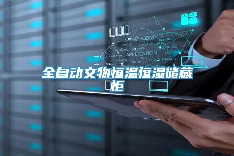 全自動文物恒溫恒濕儲藏柜