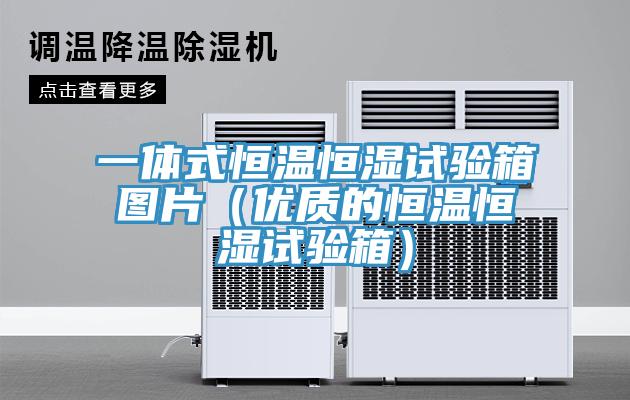 一體式恒溫恒濕試驗箱圖片（優質的恒溫恒濕試驗箱）