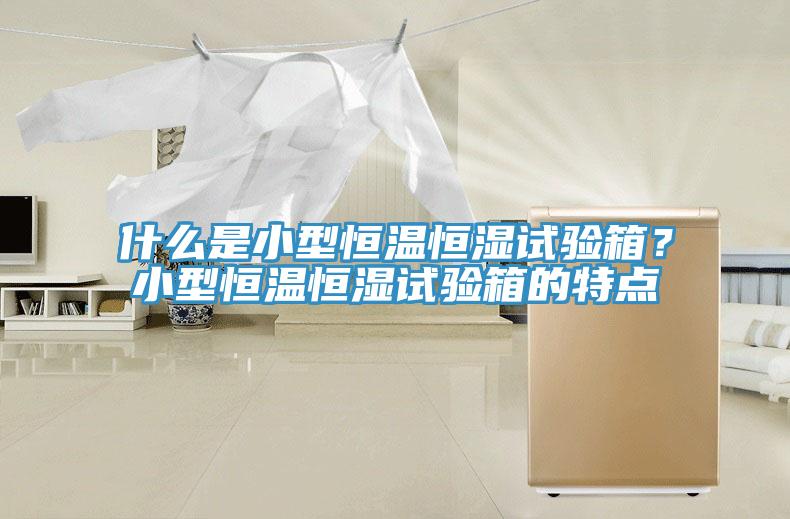 什么是小型恒溫恒濕試驗箱？小型恒溫恒濕試驗箱的特點