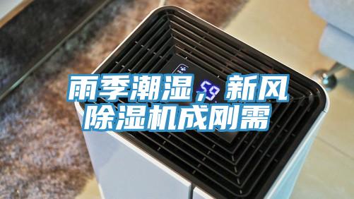 雨季潮濕，新風除濕機成剛需