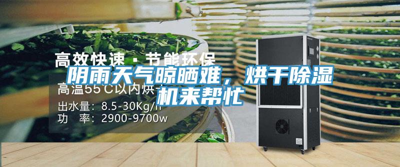 陰雨天氣晾曬難，烘干除濕機來幫忙