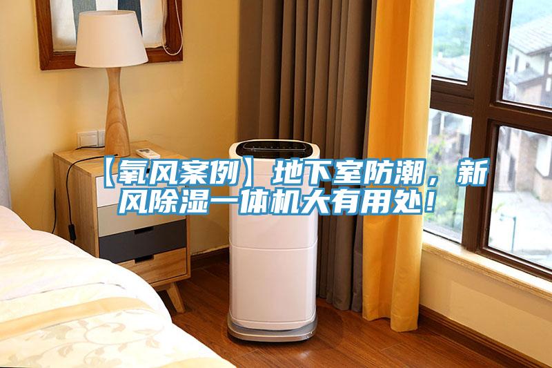 【氧風案例】地下室防潮，新風除濕一體機大有用處！