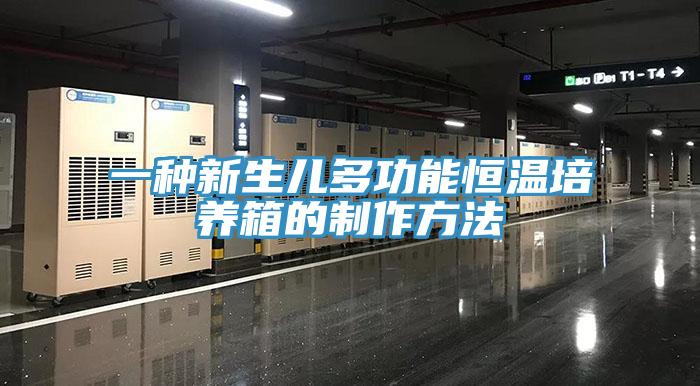 一種新生兒多功能恒溫培養箱的制作方法