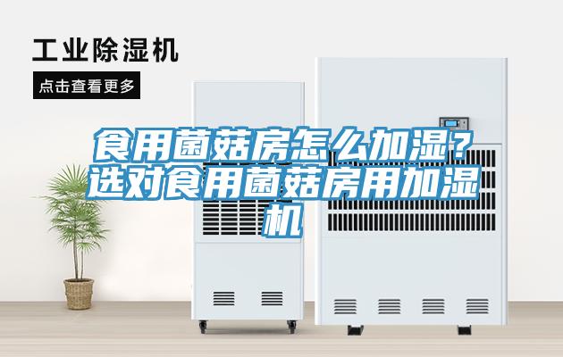 食用菌菇房怎么加濕？選對食用菌菇房用加濕機