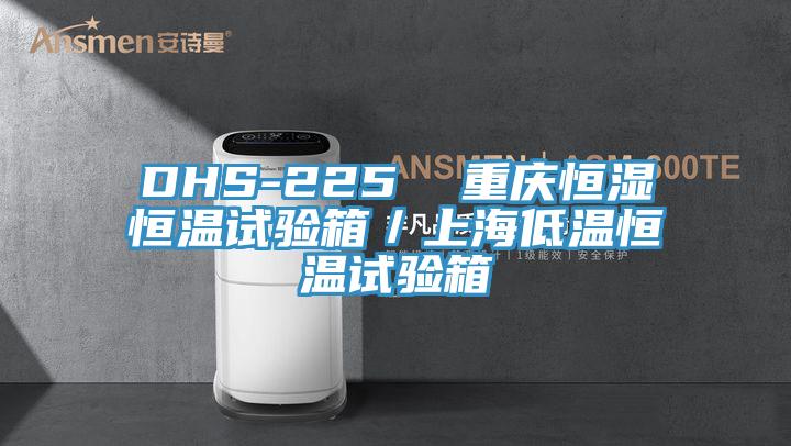 DHS-225  重慶恒濕恒溫試驗箱／上海低溫恒溫試驗箱