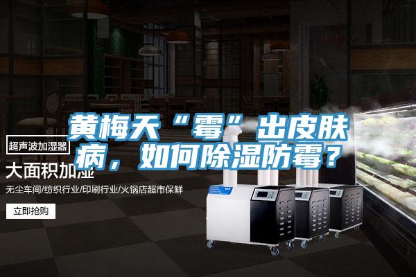 黃梅天“霉”出皮膚病，如何除濕防霉？