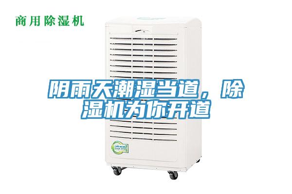 陰雨天潮濕當道，除濕機為你開道