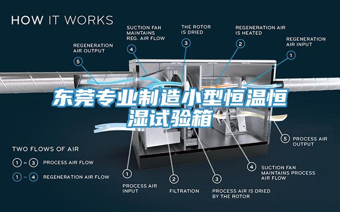 東莞專業制造小型恒溫恒濕試驗箱
