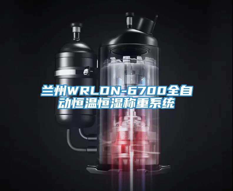 蘭州WRLDN-6700全自動恒溫恒濕稱重系統