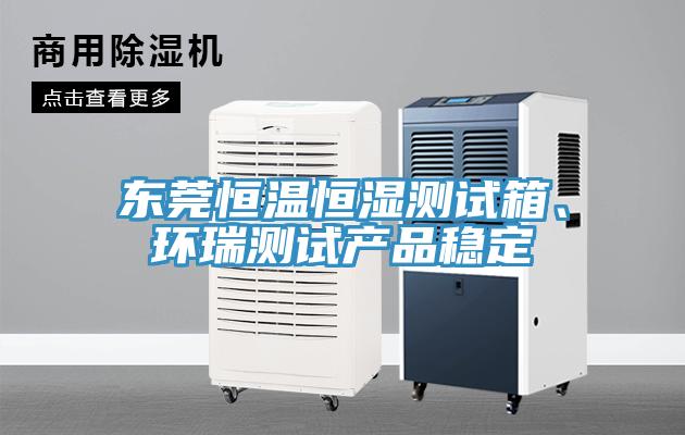東莞恒溫恒濕測試箱、環瑞測試產品穩定