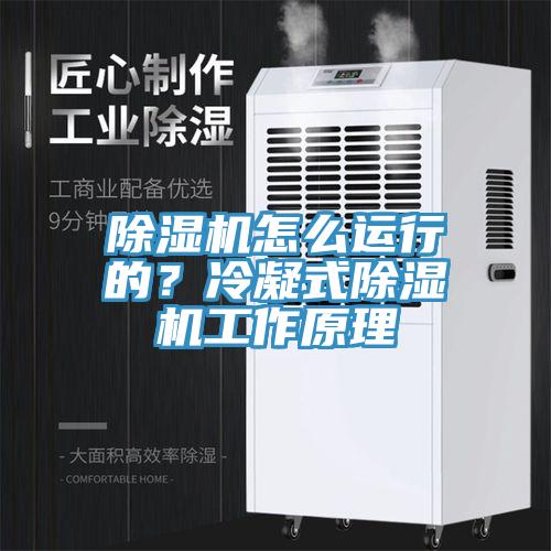 除濕機怎么運行的？冷凝式除濕機工作原理