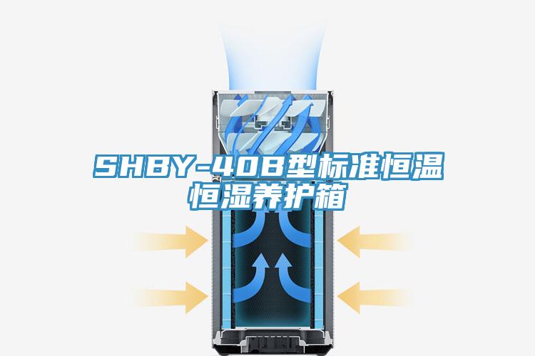SHBY-40B型標準恒溫恒濕養護箱