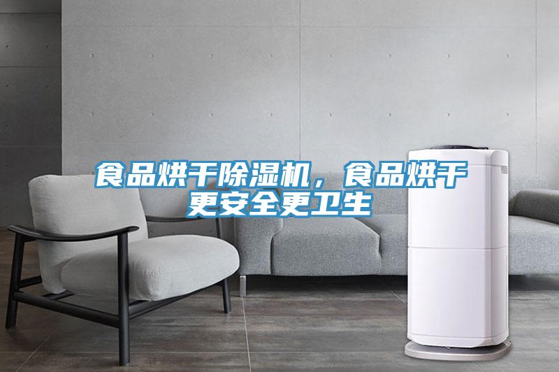 食品烘干除濕機，食品烘干更安全更衛生