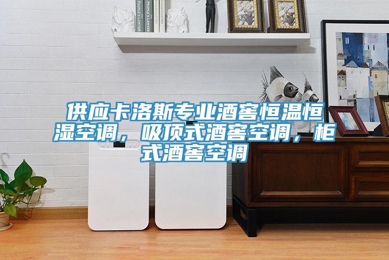 供應卡洛斯專業酒窖恒溫恒濕空調，吸頂式酒窖空調，柜式酒窖空調