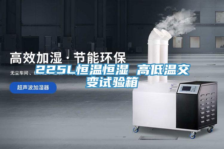 225L恒溫恒濕 高低溫交變試驗箱