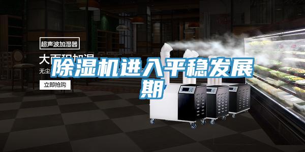 除濕機進入平穩發展期