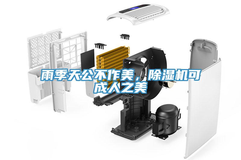 雨季天公不作美，除濕機可成人之美