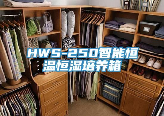 HWS-250智能恒溫恒濕培養箱