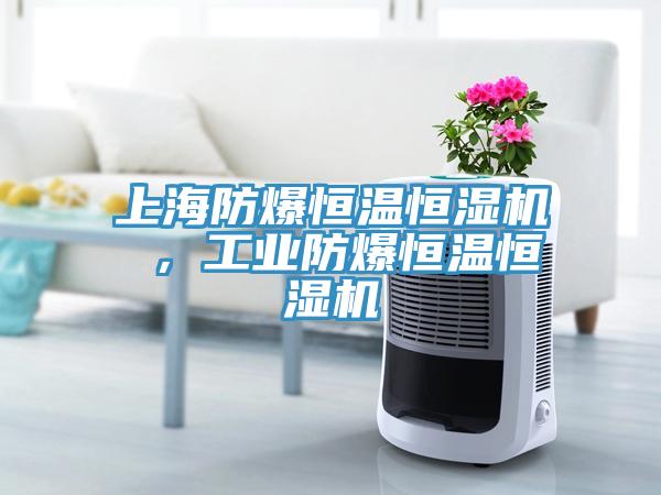 上海防爆恒溫恒濕機 ，工業防爆恒溫恒濕機