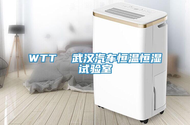 WTT  武漢汽車恒溫恒濕試驗室