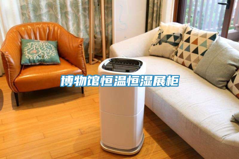 博物館恒溫恒濕展柜