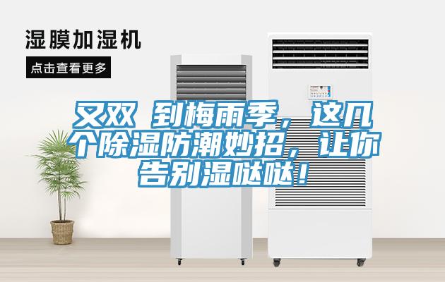又雙叒到梅雨季，這幾個除濕防潮妙招，讓你告別濕噠噠！