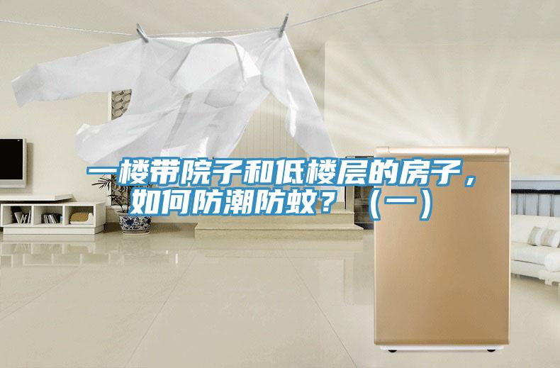 一樓帶院子和低樓層的房子，如何防潮防蚊？（一）