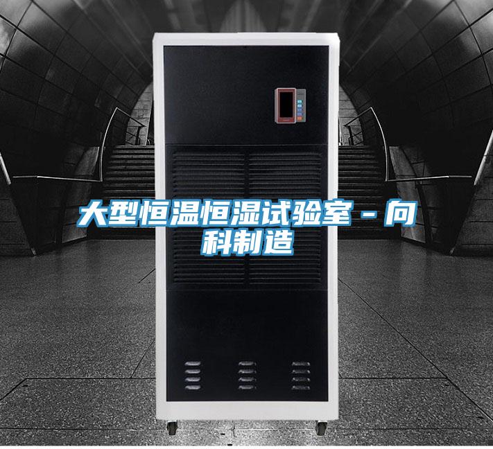 大型恒溫恒濕試驗室－向科制造