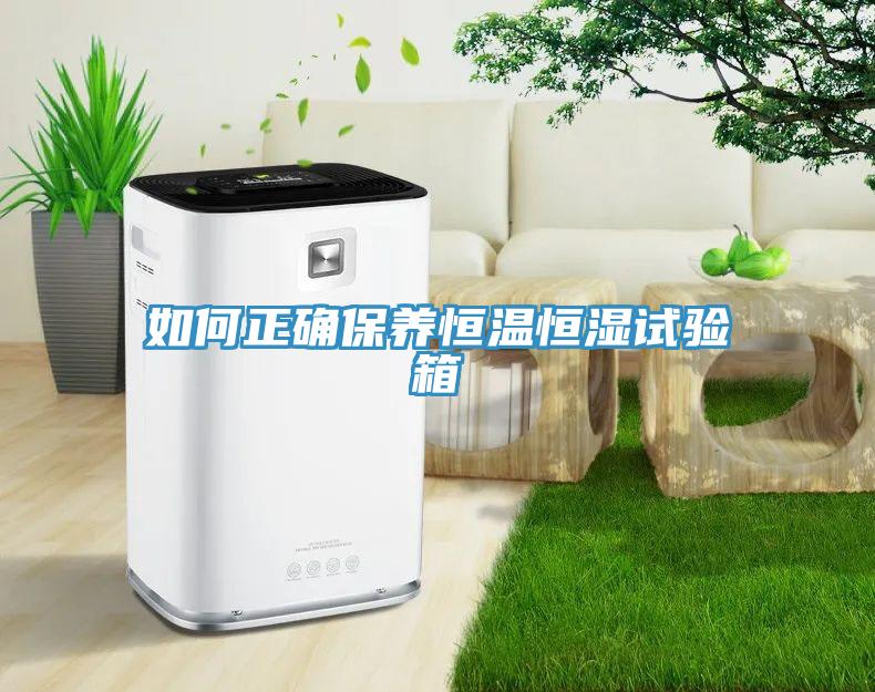 如何正確保養恒溫恒濕試驗箱