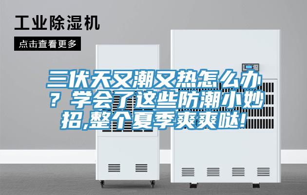 三伏天又潮又熱怎么辦？學會了這些防潮小妙招,整個夏季爽爽噠!
