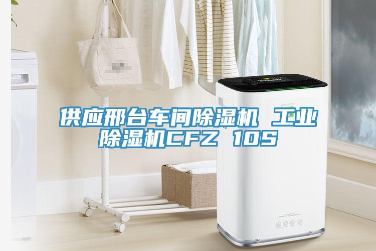 供應邢臺車間除濕機 工業除濕機CFZ 10S