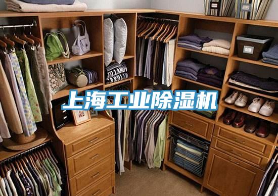 上海工業除濕機