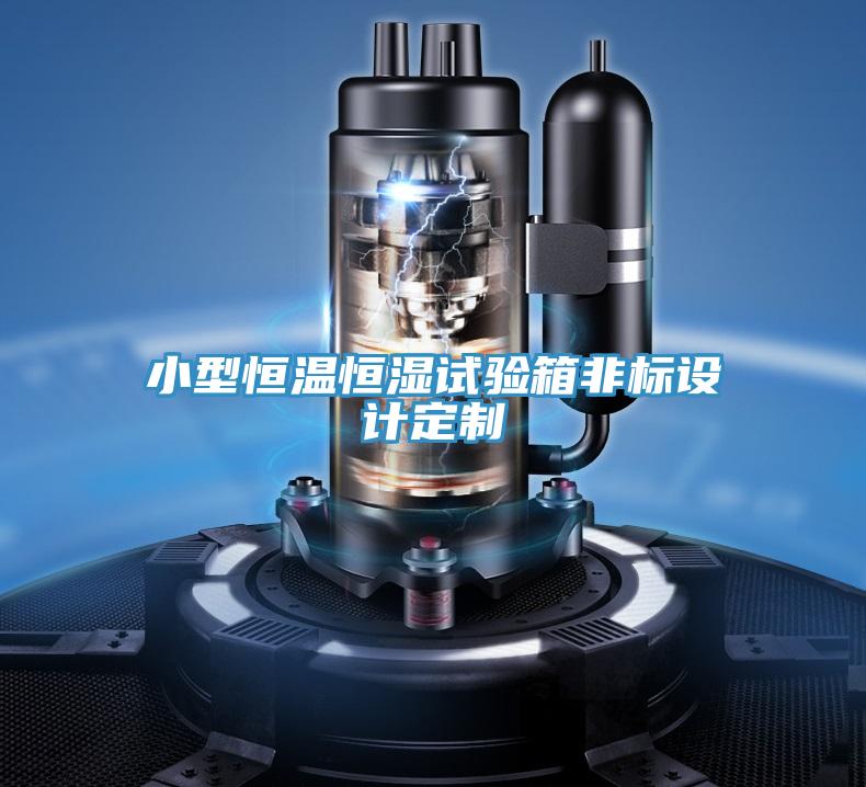小型恒溫恒濕試驗箱非標設計定制
