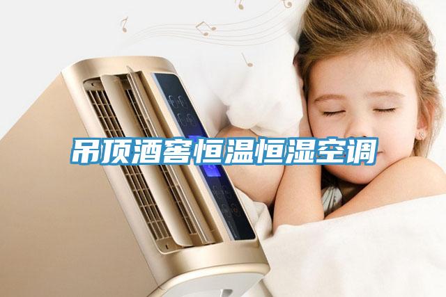 吊頂酒窖恒溫恒濕空調